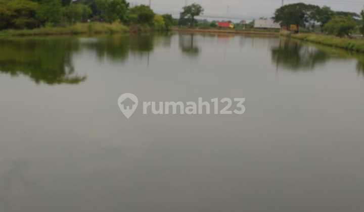 For Sale Ex-Pond Plot on Tebaloan Village Road, Duduk Sampeyan Gresik Lamongan - East Java (Lal)