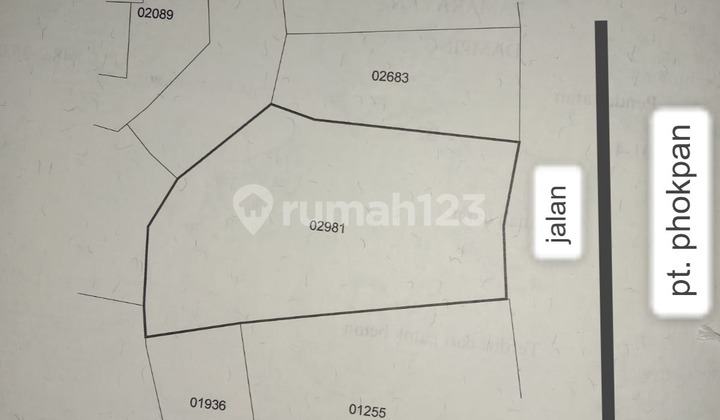 LAND FOR SALE IN SERANG BANTEN Location Pamarayan, Serang, Banten LAND FOR SALE IN SERANG BANTEN Location Pamarayan, Serang, Banten