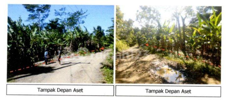 For Sale: 52 Hectares of Land (520,000 M2) in Tanjung Raya Village, Pandeglang, Banten For Sale: 52 Hectares of Land (520,000 M2) in Tanjung Raya Village, Pandeglang, Banten