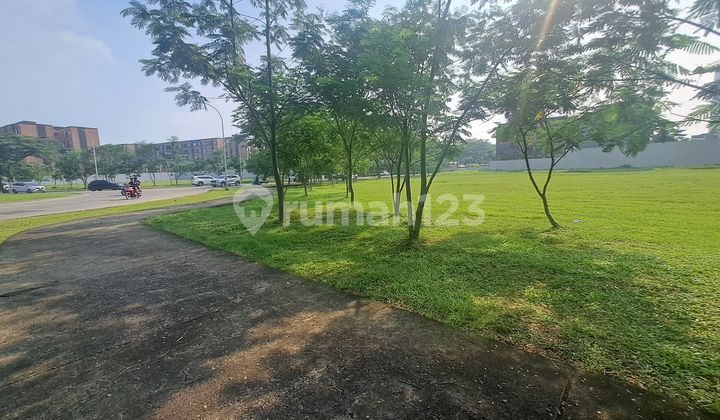 DISEWA KAV KOMERSIAL ALAM SUTERA JL ALAM UTAMA DEPAN APART SAUMATA DISEWA KAV KOMERSIAL ALAM SUTERA JL ALAM UTAMA DEPAN APART SAUMATA