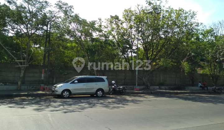 Tanah Disewakan di Jl Raden Patah. Pinggir Jl Besar Kota Semarang Sangat Cocok Dijadikan Gudang atau Pabrik. Akses Jl Besar Truk bisa Masuk Dekat dengan Universitas Karang Turi 3 Menit Dari Kota Lama 1