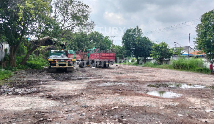 Dijual Tanah Lokasi Premium di Jl Majapahit Semarang 1