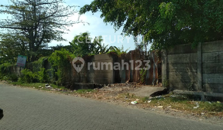 Tanah Strategis Siap Disewakan! Cocok untuk Usaha dan Gudang 2