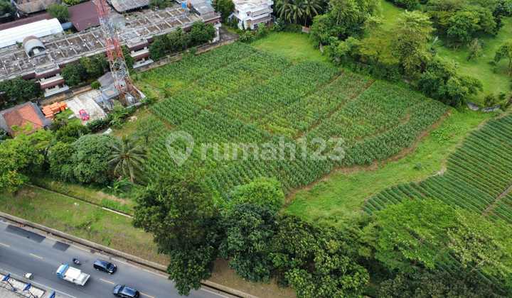 Land Investor in the City Center