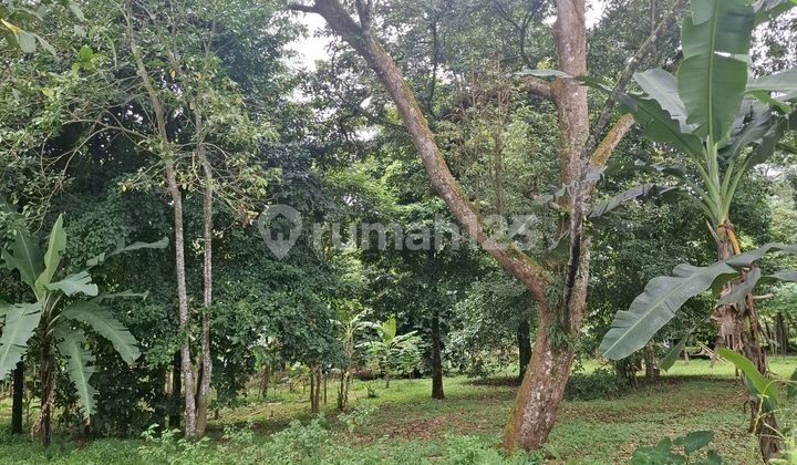 Tanah, SHM, di Cijeruk,