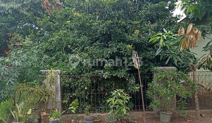 For Sale Fast Curug Wetan Land For Sale Fast Curug Wetan Land