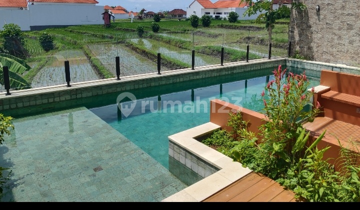Villa Full Furnished View Sawah di Canggu
