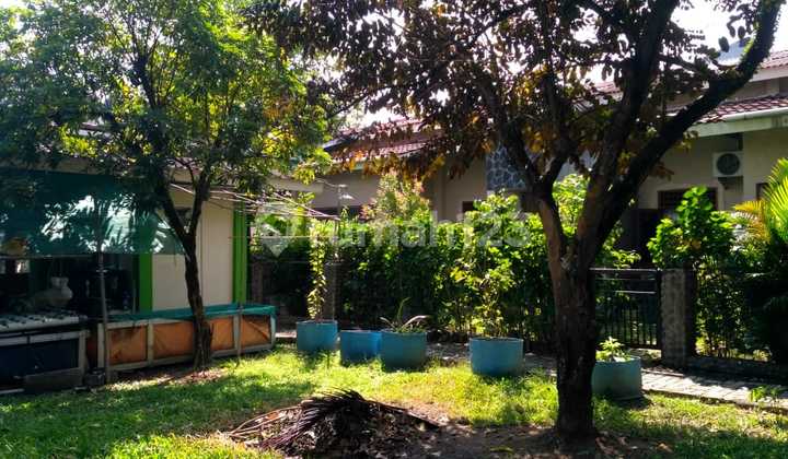 For Sale, Serene and Livable House. Mountain view. 2