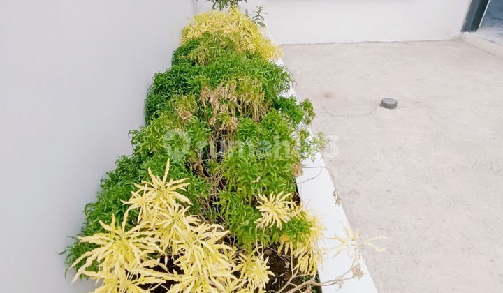 Strategic House in Cimanggis, Near Superindo & Public Facilities 2