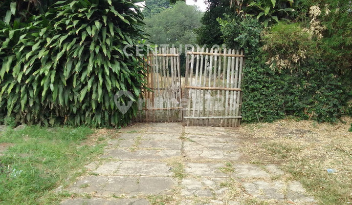 Tanah Parung 6 Ha Cocok untuk Usaha Ataupun Bangun Perumahan