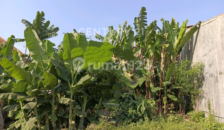 Commercial Shop for Sale Land Price Calculation in Pemalang 2