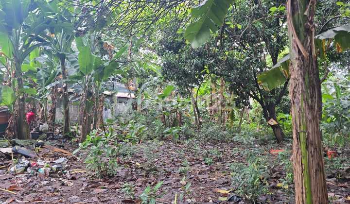 For Sale Tanah Luas 1784 Meter bisa Bangun Gedung atau Kantor atau Klinik atau Ruang Usaha atau Cafe atau Perkantoran Lokasi Area Komersial Bangka Kemang Jakarta Selatan.