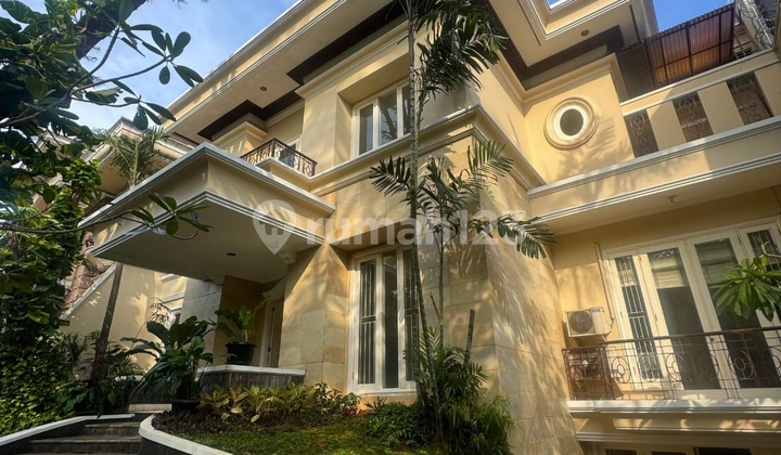 For Rent Modern Minimalist House near JIS and Golf Hill and Pondok Indah Mall, Peaceful and Lush Location in Pondok Indah, South Jakarta