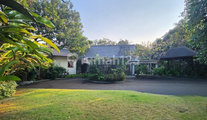 For Sale Rumah Mewah Design Tropical Resort Prime Area Cipete Cilandak Jakarta Selatan