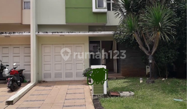 For rent.house.in.canary.the.spring@Gading.serpong Tangerang 1