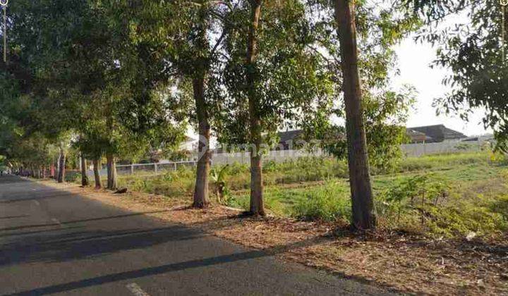 Tanah Kavling, Luas Standar Perumahan, Dekat Kota Wates 1