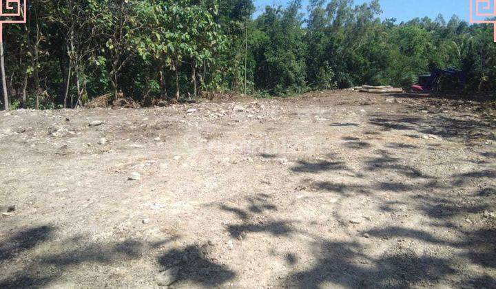 Dijual Tanah Kavling, Bayar Cash Diskon Khusus, Timur Bandara Yia 1