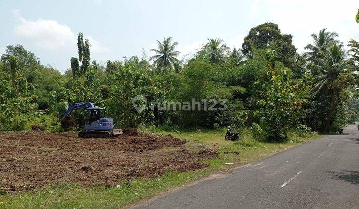 Ambil Promonya, Tanah Kavling Wates, Dekat Ps Milir Kulonprogo 5