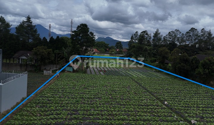 Tanah Dekat Tempat Wisata di Lembang Cocok untuk Investasi