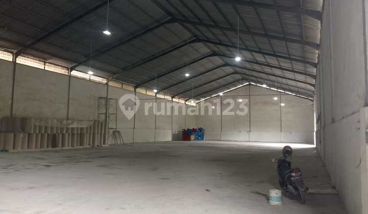 Gudang, 1 Lantai, SHM, Gudang, 1 Lantai, SHM,