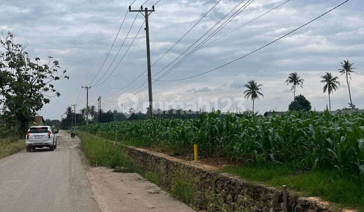 Tanah, SHM, di Natar,