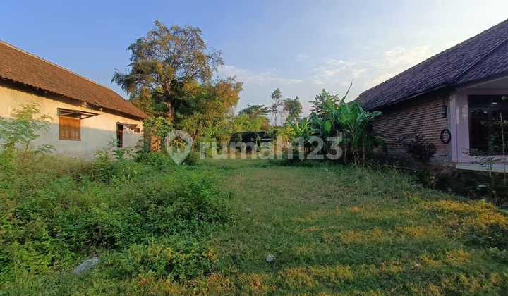 Land for Sale, SHM, in Mojosari, Mojokerto