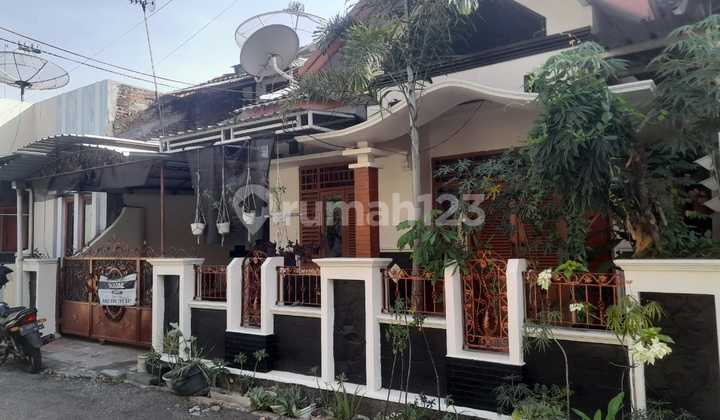 City Center Flood-Free House Fully Renovated 1