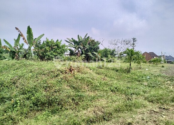 Tanah Siap Bangun SHM Kabupaten Malang Dekat Exit Tol Tanah Siap Bangun SHM Kabupaten Malang Dekat Exit Tol