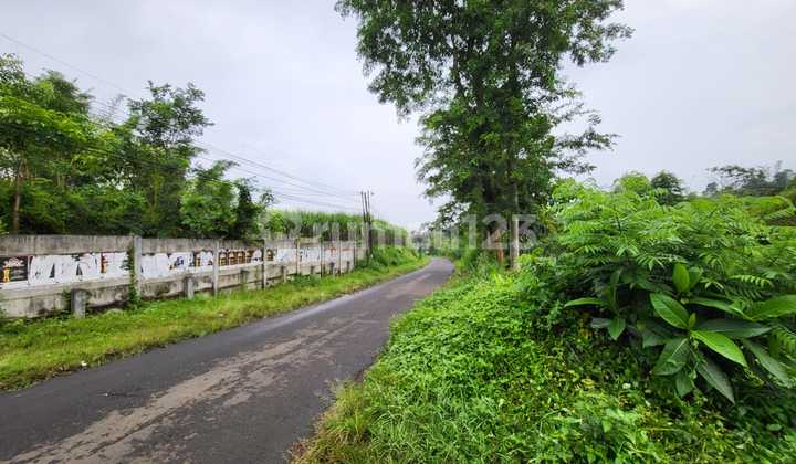 Tanah Siap Bangun Cocok untuk Investasi Jangka Panjang Tanah Siap Bangun Cocok untuk Investasi Jangka Panjang