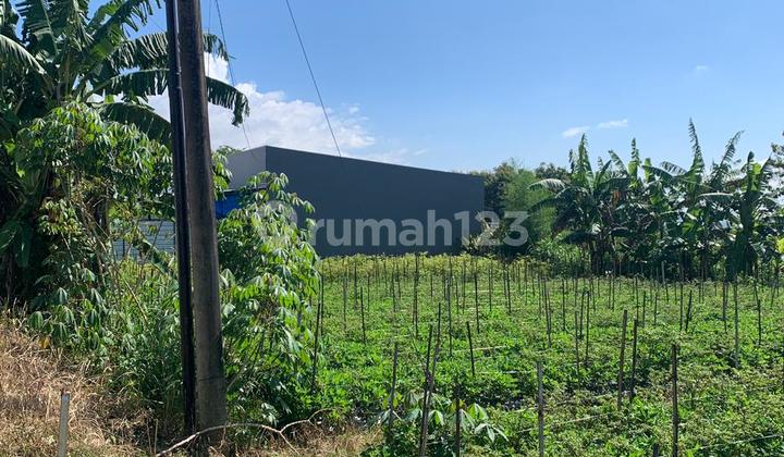 Tanah Sipp Bangun Strategis Kota Malang Area Perumahan Tanah Sipp Bangun Strategis Kota Malang Area Perumahan