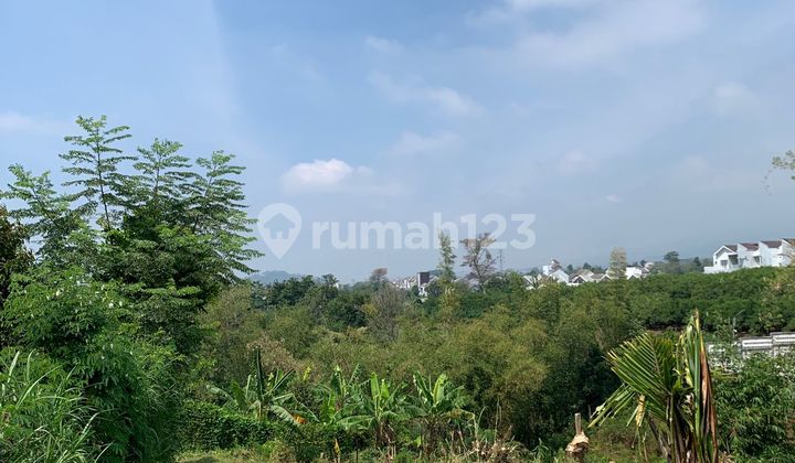 Tanah Kavling Eksklusif di Kawasan Asri - Cocok untuk Hunian Nyaman & Investasi Menjanjikan Tanah Kavling Eksklusif di Kawasan Asri - Cocok untuk Hunian Nyaman & Investasi Menjanjikan