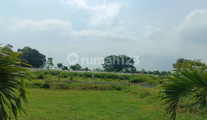 3 Minutes to Abd Saleh Airport Malang - Sell land with Freehold Title (SHM) Ready 3 Minutes to Abd Saleh Airport Malang - Sell land with Freehold Title (SHM) Ready