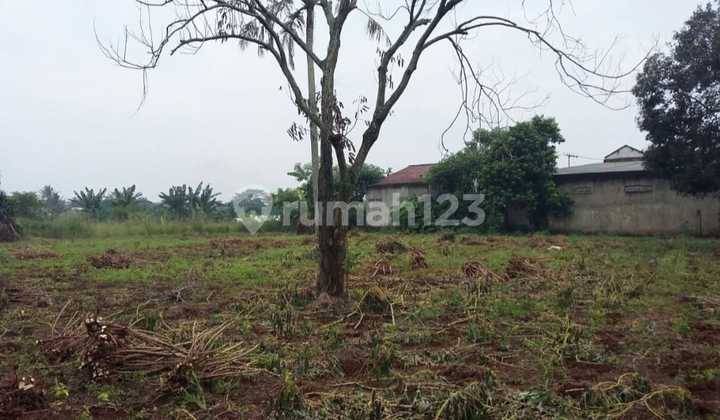 Tanah Strategis Dekat Dgn Pasar Parung dan Mal Parung