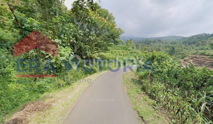 Dijual Tanah SHM, Lokasi Strategis Luas 2.476 Harga Per Meter 344 Ribu Dijual Tanah SHM, Lokasi Strategis Luas 2.476 Harga Per Meter 344 Ribu