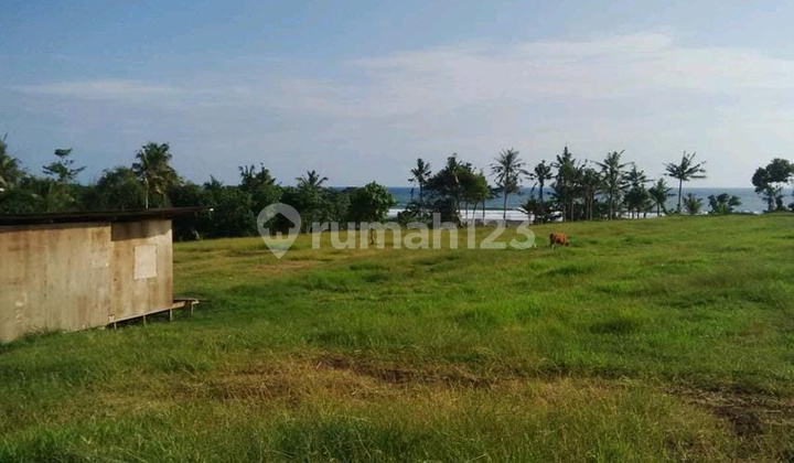 Tanah Langka Tepi Pantai Pantai Area Resort Mewah Tabanan Bali