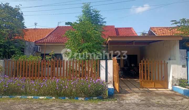 Hunian Strategis Dirungkut Hunian Strategis Dirungkut