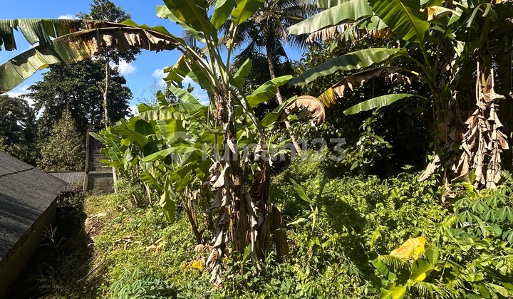 ✅ For Sale Tanah Komersial Strategis Pinggir Jalan Utama Tabanan ✅ For Sale Tanah Komersial Strategis Pinggir Jalan Utama Tabanan