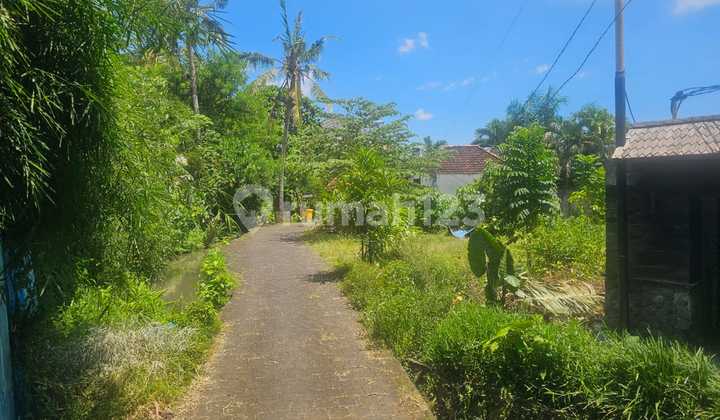 *✅ Land For Sale ✅**Tiying Tutul, Pererenan, Badung