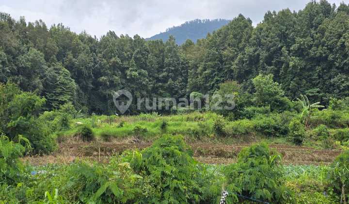 Land For Sale / Leasehold - Baturiti, Bedugul Land For Sale / Leasehold - Baturiti, Bedugul