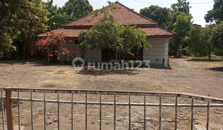 Rumah Tanah Pinggir Jalan Utama Kraksaan Murah Harga Hitung Tanah Aja Rumah Tanah Pinggir Jalan Utama Kraksaan Murah Harga Hitung Tanah Aja