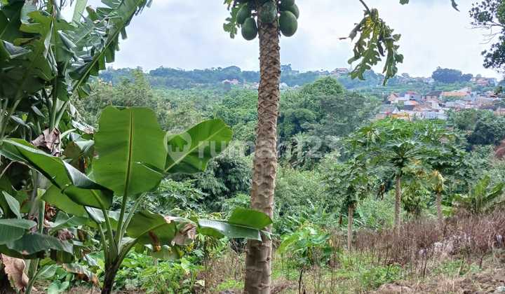 Sell Large Land in Beringin Ngaliyan 1