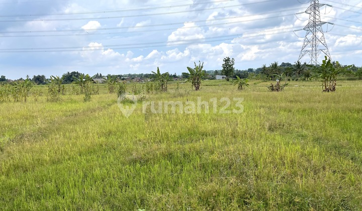 Di Jual Tanah Luas 5000 di Ungaran 2