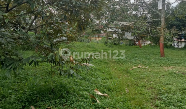 Dijual Tanah di Sukorejo