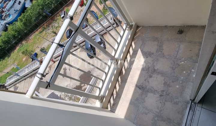 Dijual Murah Apartemen Pluit Seaview 3Br Pluit Jakarta Utara Dijual Murah Apartemen Pluit Seaview 3Br Pluit Jakarta Utara