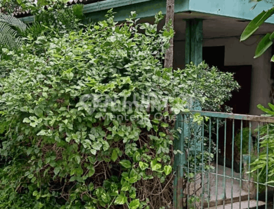 Rumah Tua Hitung Tanah di Kawasan Menteng Rumah Tua Hitung Tanah di Kawasan Menteng
