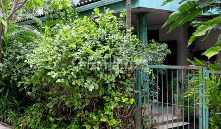 Rumah Tua Hitung Tanah di Kawasan Menteng Rumah Tua Hitung Tanah di Kawasan Menteng