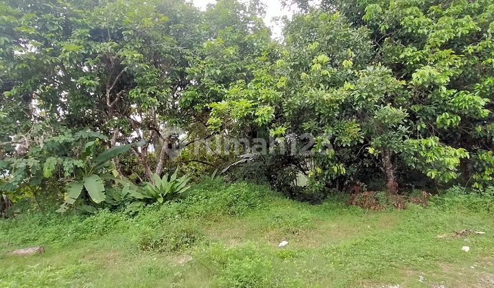 Tanah di Gunungpati Semarang 1