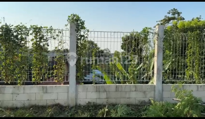 Tanah Datar di Ngalian 1