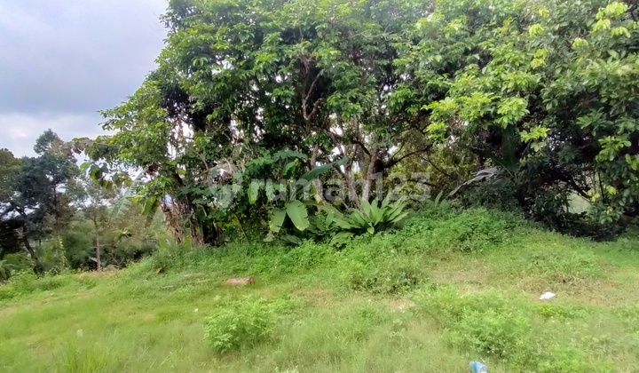 Tanah di Gunungpati Semarang 2