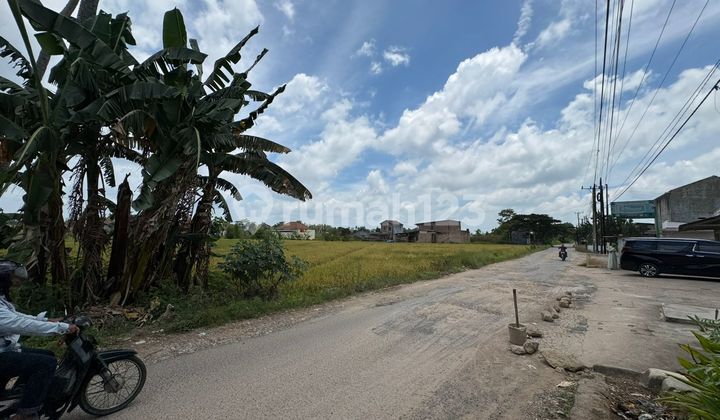 Dijual Tanah dan Sawah Pinggir Jalan di Desa Sidosari, Natar Dijual Tanah dan Sawah Pinggir Jalan di Desa Sidosari, Natar
